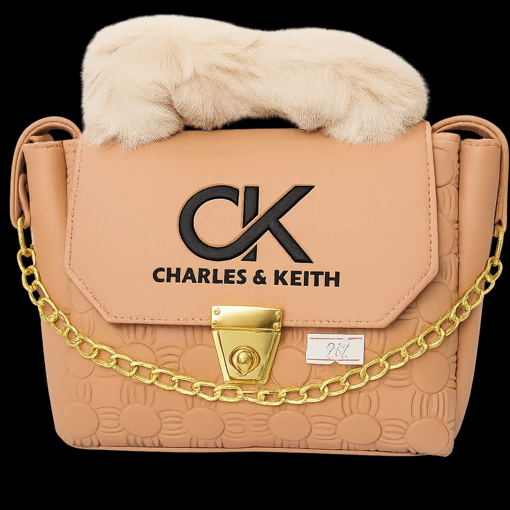 Charles & Keith Ladies Bag